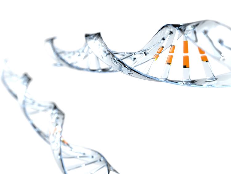 AstraZeneca joins forces with Silence to develop siRNA therapeutics