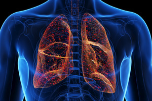 AstraZeneca's tozorakimab succeeds in third pivotal Phase III COPD trial