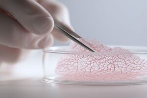 Atelerix and Labskin team up to enable long-distance transport of temperature-sensitive skin models