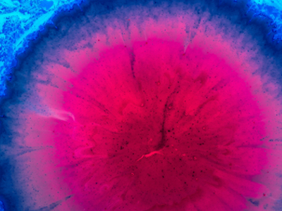 ATUM launches cell-line development service 
