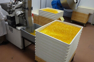 Auction of equipment from major nutraceutical soft gel manufacturer