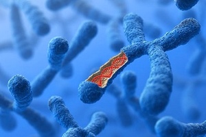 Autifony recieves Orphan Drug Designation to treat Fragile X