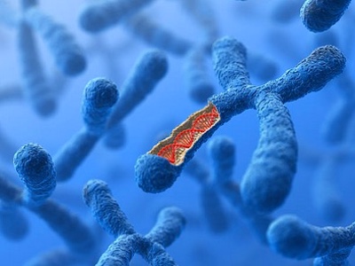 Autifony recieves Orphan Drug Designation to treat Fragile X