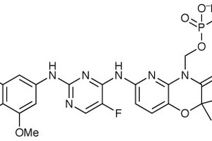 Autoimmune diseases – fostamatinib