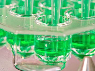 Automated microfluidics for gene editing is in the works