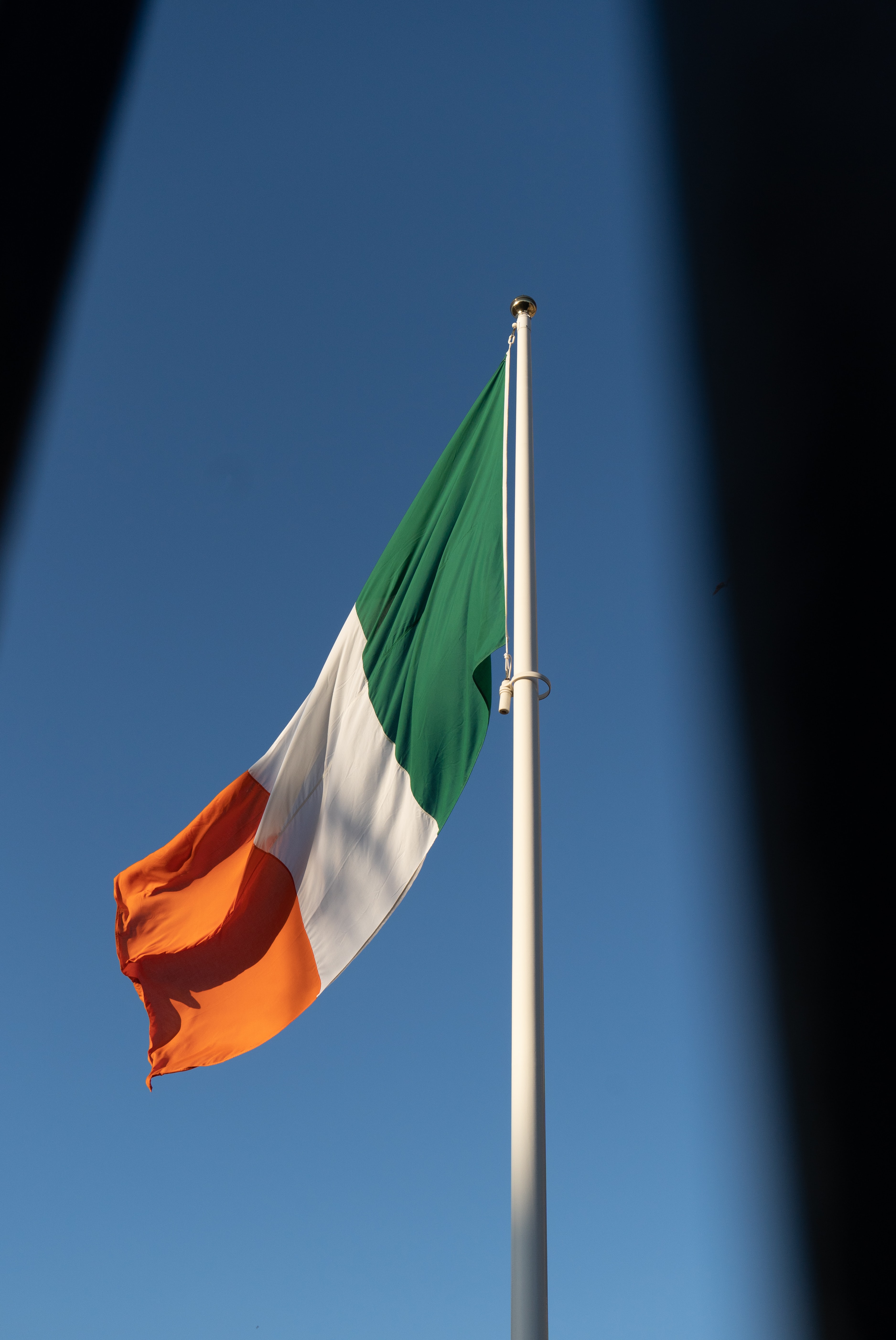 Avantor begins construction on Ireland distribution centre 