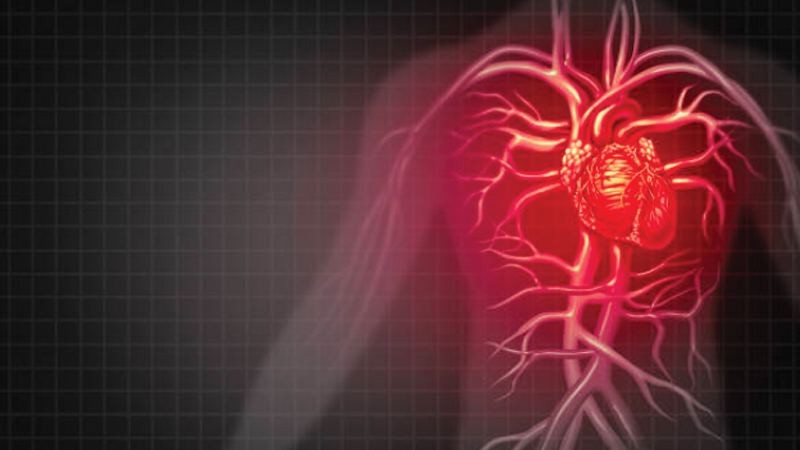 Axol Bioscience launch Human iPSC-derived Atrial Cardiomyocytes