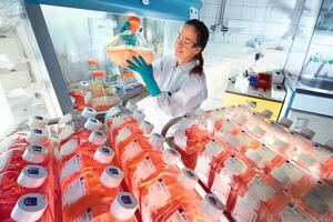 Bayer chooses Fluor and GE Healthcare for new cell culture technology centre