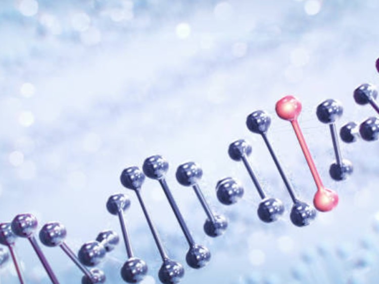 Bayer strengthens cell and gene therapies with BlueRock acquisition