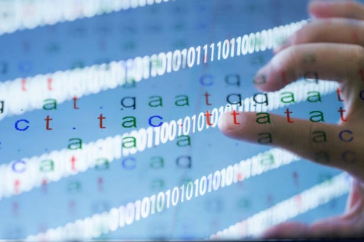 BC Platforms partners with Google Cloud 