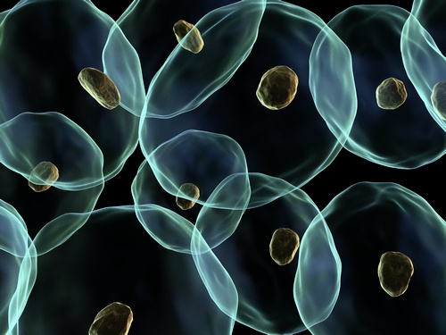 Better control and healthier yields through biotech Process Analytical Technology 
