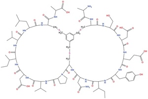Bicyclic peptides for a new class of targeted drugs