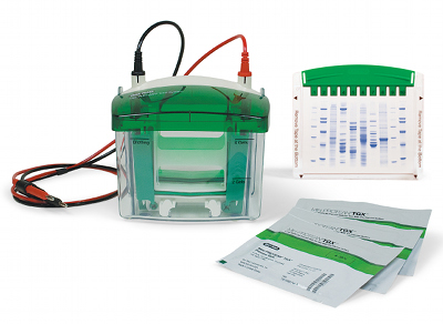 Bio-Rad adds Mini-Protean TGX pre-cast gels