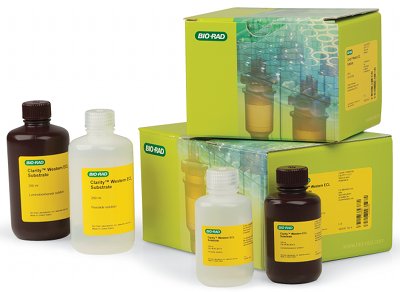 Bio-Rad Clarity Western ECL offers flexibility