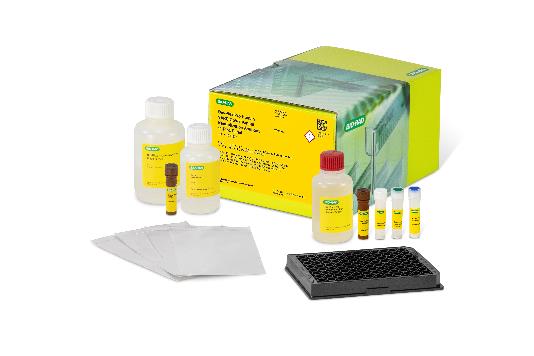 Bio-Rad introduces SARS-CoV-2 variant antibody assays 