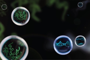 Bio-Rad joins EMBL’s Corporate Partnership Programme