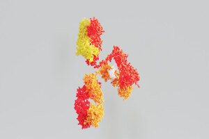 Bio-Rad launches anti-pertuzumab antibodies
