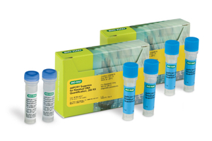 Bio-Rad launches ddPCR CHO and E. coli kits for direct quantification of residual host cell DNA