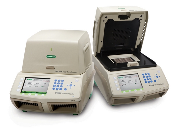 Bio-Rad launches real-time PCR detection system