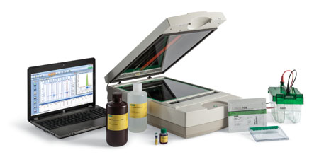 Bio-Rad launches the Biologics Analysis Workflow for easier protein purity analysis
