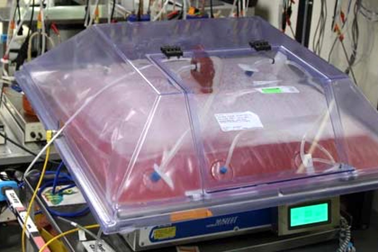 Bio-Techne to invest up to $50m for GMP protein production facility 