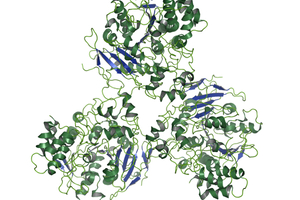 Biocatalytic solutions for everyone in chemistry