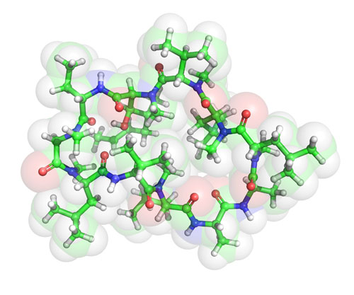 BioDuro and Atombeat to launch an AI-powered platform for accelerated peptide drug discovery