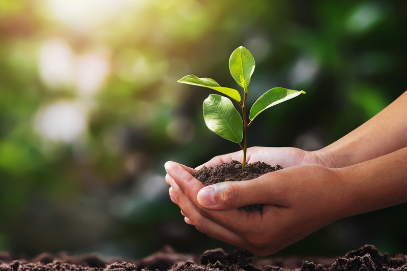 BioDuro gets emission reduction targets approved by the SBTi