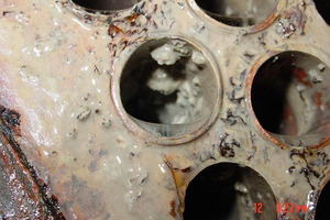 Biofilms: they’ll leave you hot under the collar