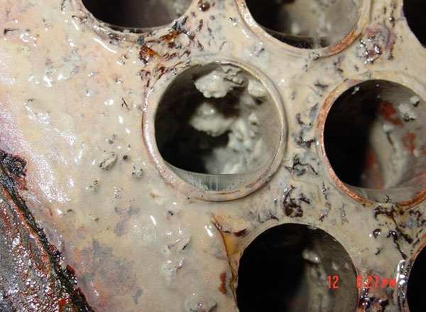 Biofilms: they’ll leave you hot under the collar