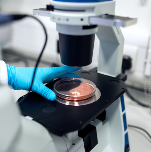 BioGenes and FyoniBio offer combined analytical services