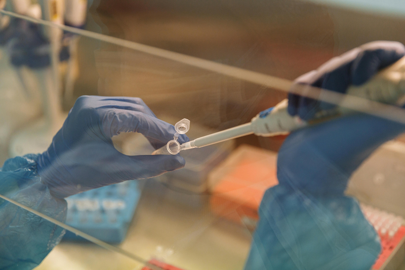 Biognosys to commercialise Alamar Biosciences' NULISA proteomics assay range