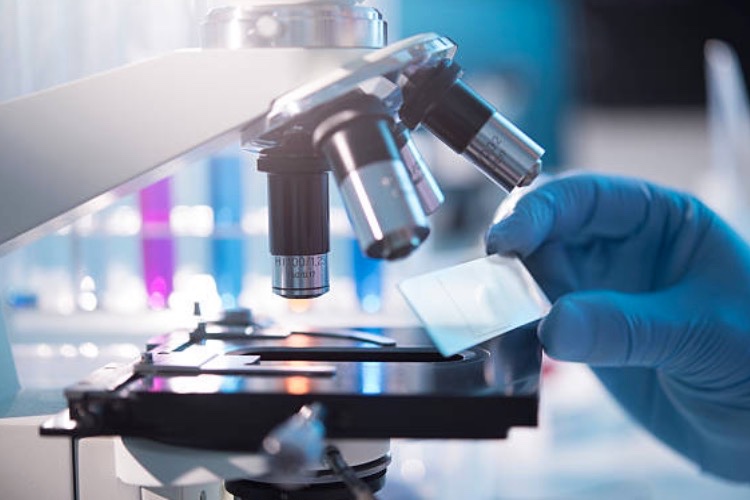BioIVT acquires Ascendance Biotechnology