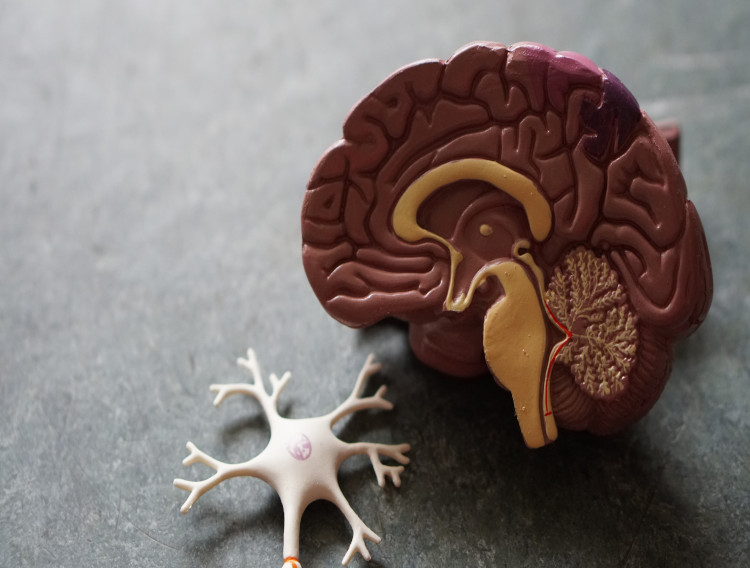 BioMed X and Boehringer Ingelheim initiate brain sensor project