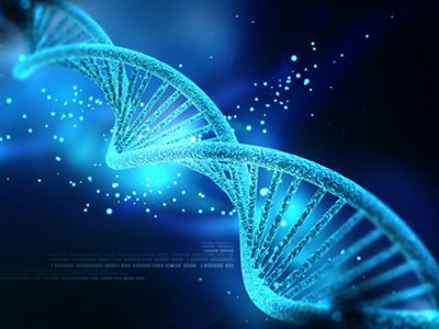 BioMed X and Merck start new project in cancer research
