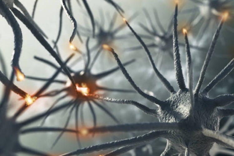 BioMed X and Roche announce research collaboration 