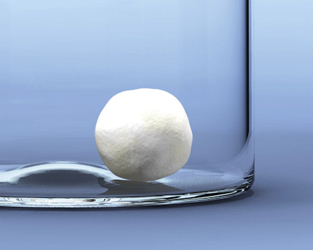 bioMerieux leads the field with plant isolate service 