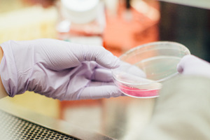 Biosynth extends peptide synthesis offering with Pepceuticals acquisition