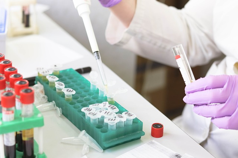 Biotech and research organisations team up to optimise viral vector quality for cell and gene therapies