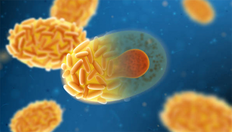 Biotech company awarded prestigious Innovate UK grant to expand search for rare disease therapies