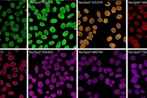 Biotium expands nuclear stain selection