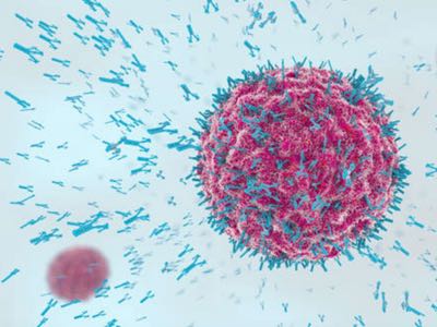 Blackstone and Novartis: Joint venture targets cardiovascular disease