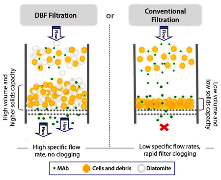 Body feed filtration provides enhanced bioprocessing