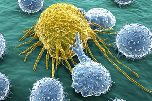 Boehringer Ingelheim acquires Swiss biotech company AMAL Therapeutics