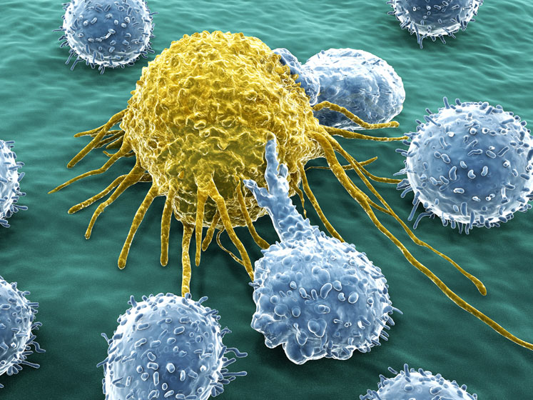 Boehringer Ingelheim acquires Swiss biotech company AMAL Therapeutics