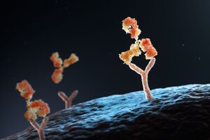 Boehringer Ingelheim adds antibody-based cancer drug from AimedBio to its portfolio