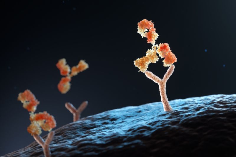 Boehringer Ingelheim adds antibody-based cancer drug from AimedBio to its portfolio