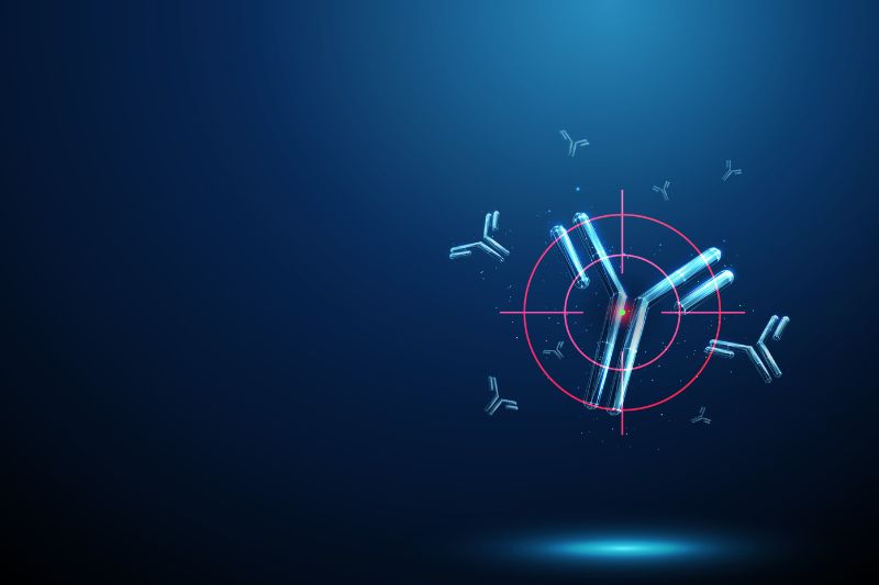 Boehringer Ingelheim and MOLCURE partner to accelerate AI-driven antibody discovery