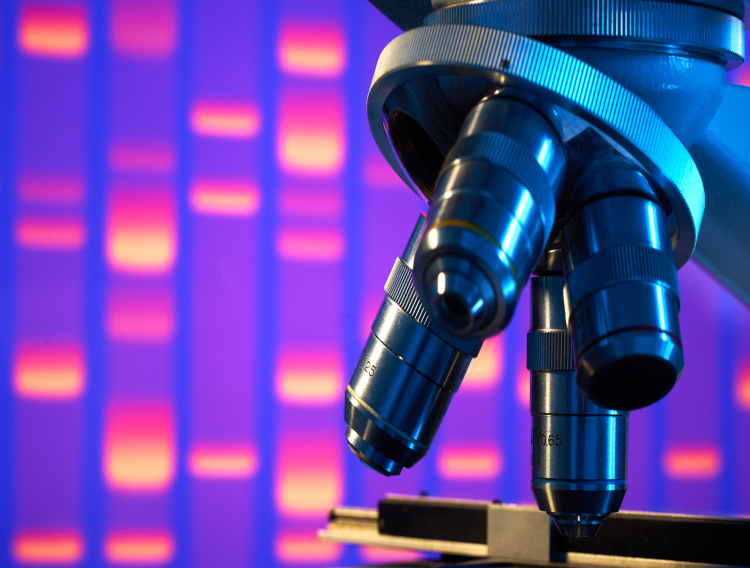 Boehringer Ingelheim and OBT advance oncology candidate 