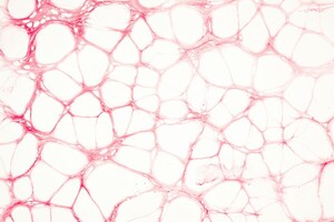 Bora Pharmaceuticals establishes biologics CDMO platform